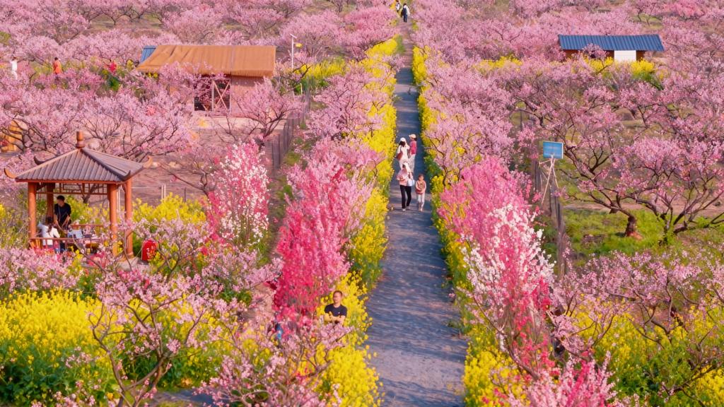 20260407ad538fe802094813b3130ea73078de22_a3eee7b422d5486caecd6b9158f59d5a.jpg 20260407ad538fe802094813b3130ea73078de22_a3eee7b422d5486caecd6b9158f59d5a.jpg