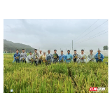 好评中国丨以“硬核”答卷，书写科技强国的湖南担当 
