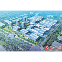 招大引强为工业引擎添动力，宁乡“双十”工程实施加快推进