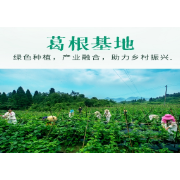 【初创组】刘俐妍