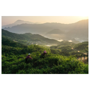 【初创组】 李初庄