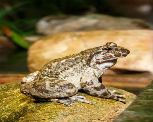 WPS图片-修改尺寸.png WPS图片-修改尺寸.png