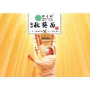 【初创组】谢奔逸