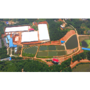 【成长组】熊炼秋