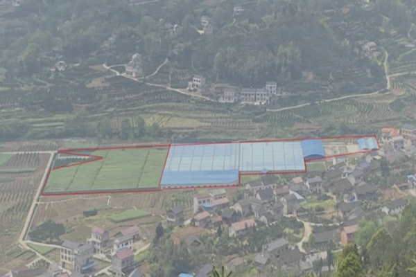 WPS图片-修改尺寸(1).png WPS图片-修改尺寸(1).png