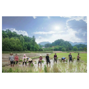 【初创组】商辉