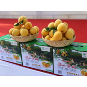 【成长组】颜昌为