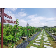 【成长组】邓湘君