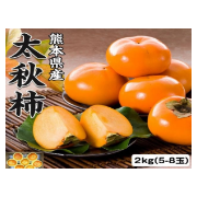 【初创组】管海英