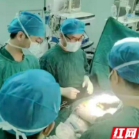 长沙市中医医院：双髋同期换，解决患者病痛和隐忧