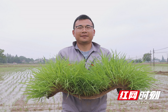 新春走基层·小镇青年 |“新农人”兴农记