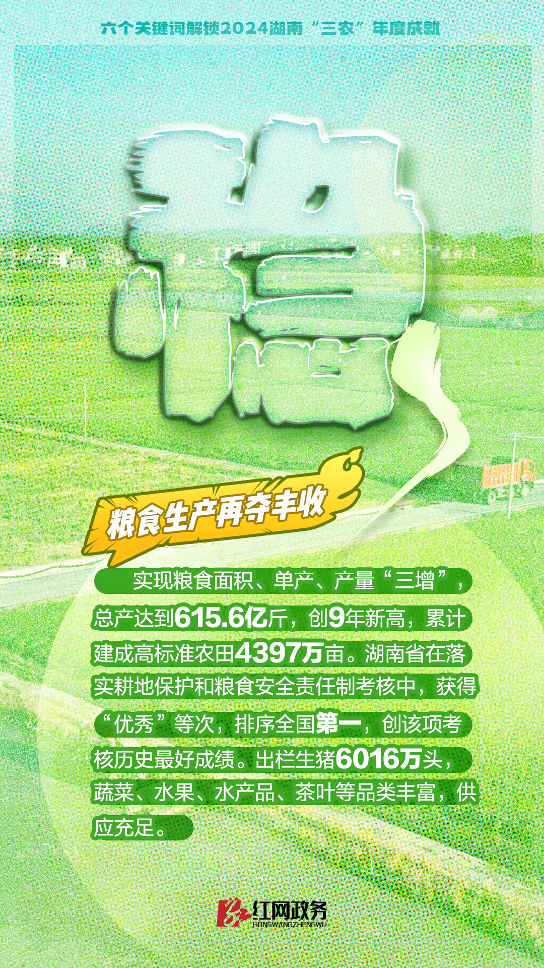 海报1.jpg