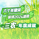 海报 | 六个关键词解锁2024湖南“三农”成就