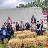 湖南食用菌走进肯尼亚 中非农业合作持续深化