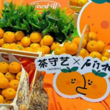 橘香茶韵漫星城,茶守艺携手石门蜜橘玩转金秋丰收季