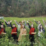 2026安化松针高质量发展研讨会在益阳安化举行