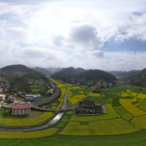 怀化新晃：贡溪镇“早、实、安”抓好春耕备耕