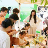 春茶一盏 游历湖湘 2026守艺春茶市集在湖南烈士公园启幕