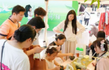春茶一盏 游历湖湘 2026守艺春茶市集在湖南烈士公园启幕