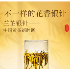 君山有诗 兰芷为茗 | 一杯黄茶的新腔调
