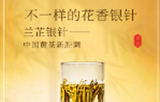 君山有诗 兰芷为茗 | 一杯黄茶的新腔调