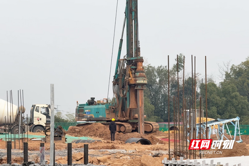 ScreenShot_2025-12-09_154959_772.jpg ScreenShot_2025-12-09_154959_772.jpg