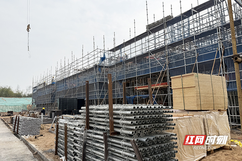 IMG_6417.jpg IMG_6417.jpg