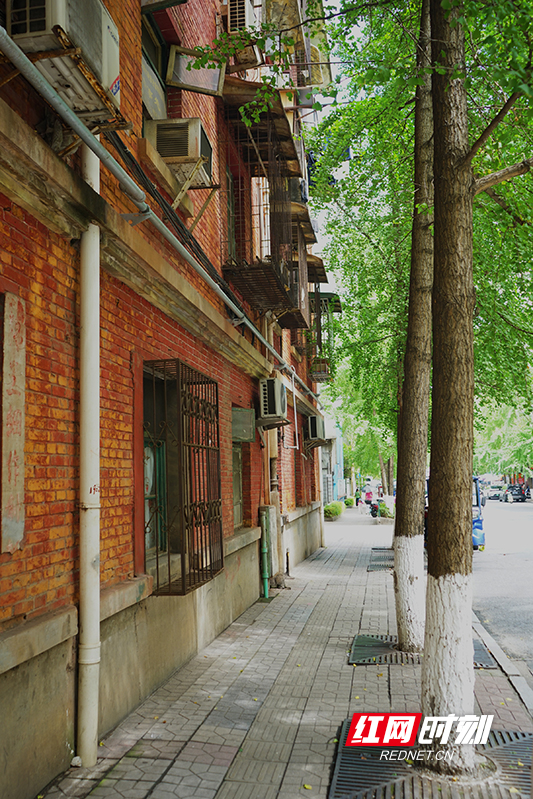 retouch_2025080816320399.jpg