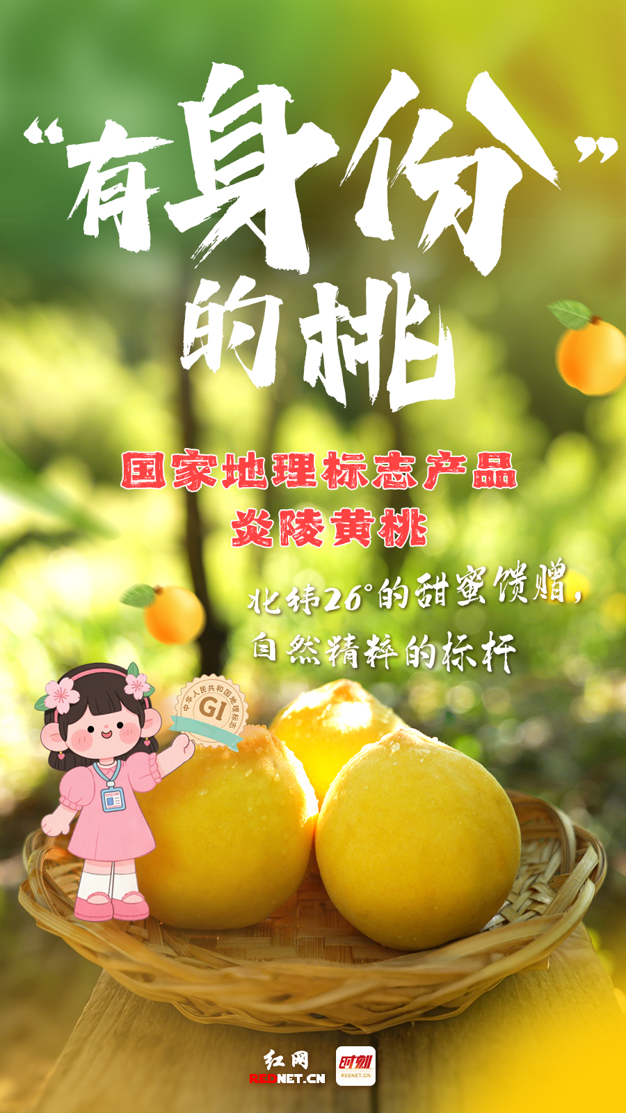 黄桃海报2.jpg