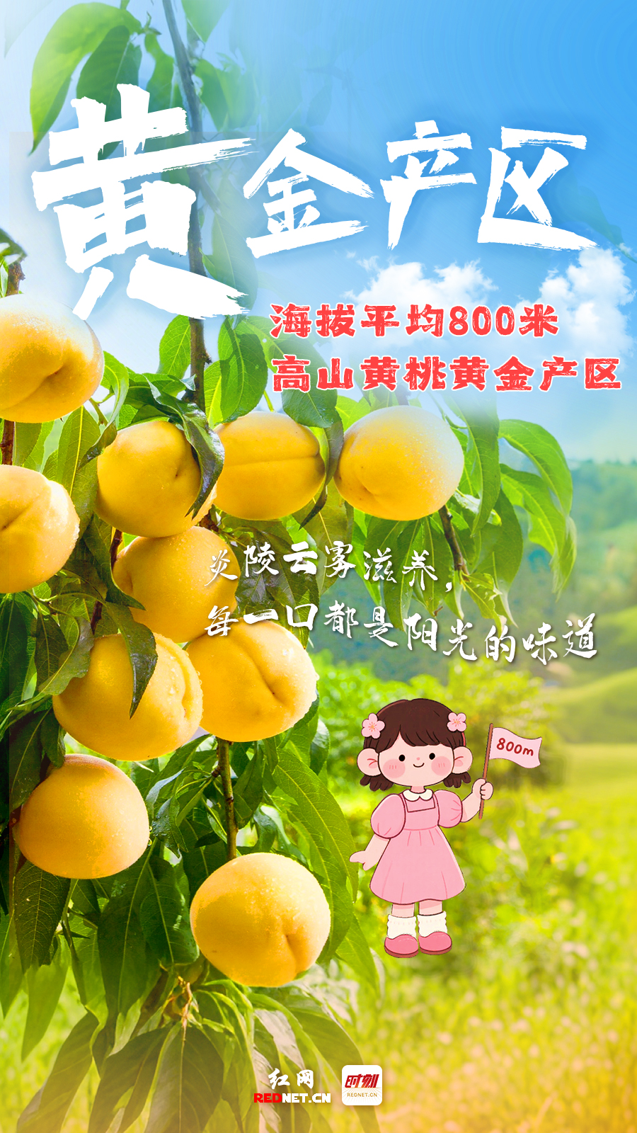 黄桃海报1.jpg