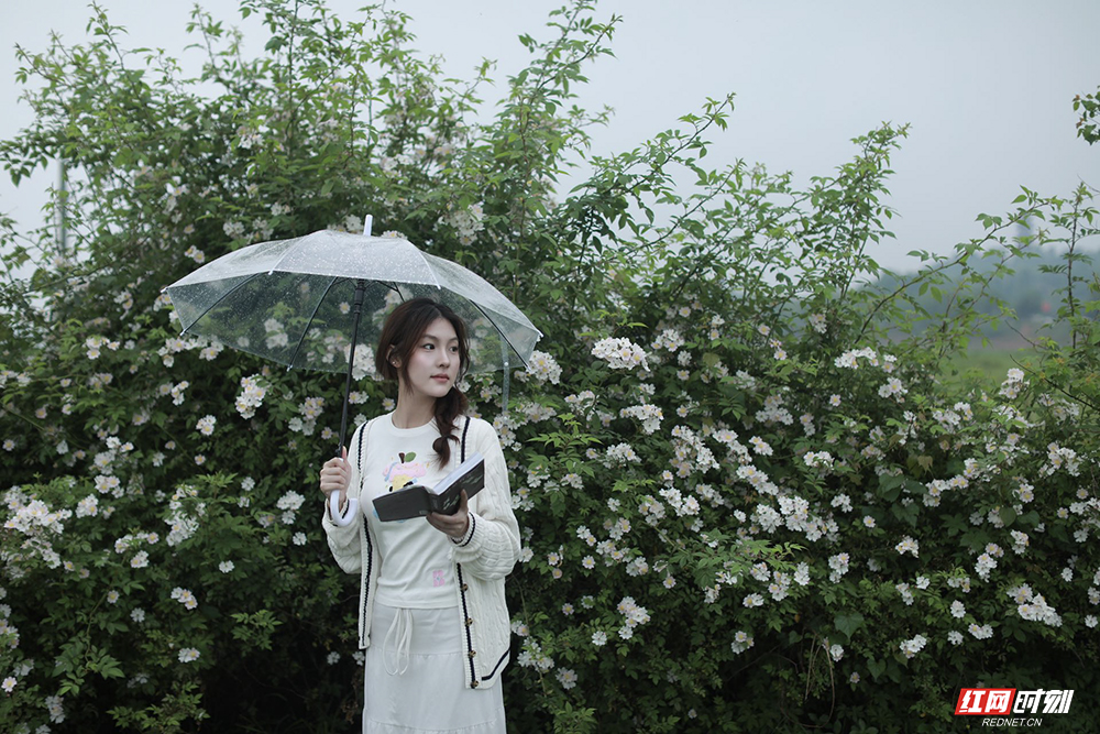 zzzb3edcbb9f8de628e377fb104a8ee267d 拷贝.jpg