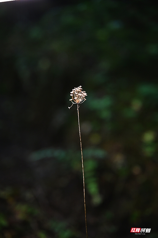 1000367552.jpg