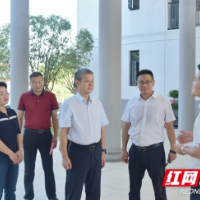 严华在邵阳县调研基层党建工作