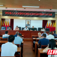 邵东界岭镇：以人大监督之力助力政务服务提质增效