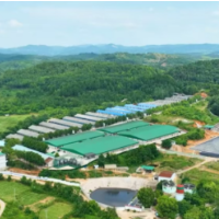 双轮驱动 全链融合 邵东奋力打造国家级现代农业产业园