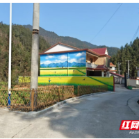 让百姓住在“景区”里——洞口环境整治绘新景，生态赋能促振兴