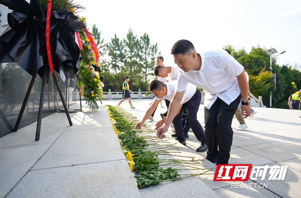 邵阳市退役军人事务局开展中国人民抗日战争暨世界反法西斯战争胜利80周年纪念活动(图2)