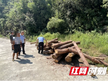 图片(256).png 图片(256).png