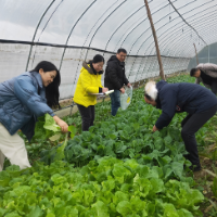 守护舌尖上的安全 娄底市农业农村局在行动