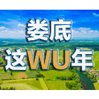 娄底这WU年｜8招“技法” 一招一式“武”出精彩