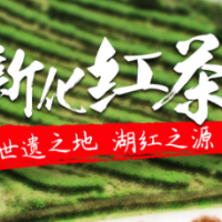 一县一特丨新化红茶：茶韵天成 湖红之源