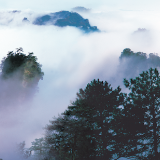 “大爱张家界”诗赛选登丨云压黄狮寨，活水绕金鞭