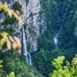 “大爱张家界”诗赛选登丨万缕春风吹绿韵,一山一水总关情