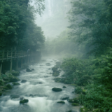 “大爱张家界”诗赛选登丨银洁的云雾抚慰着飞鸟，金鞭溪牵着温暖的风