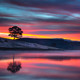 行吟诗刊 | 聂沛：野花开在天边，树冠顶着星辰