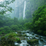 “大爱张家界”诗赛选登丨一泓清泉的涟漪，颤动湘西的神韵之弦