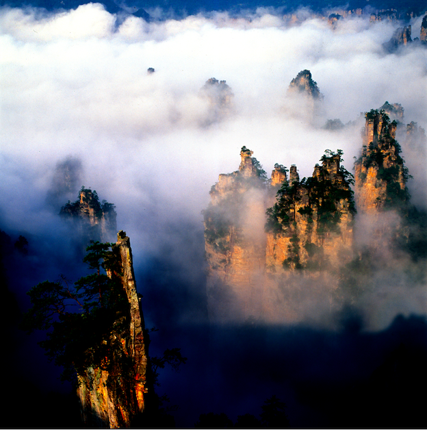 屏幕快照 2021-12-01 上午11.09.11.png 屏幕快照 2021-12-01 上午11.09.11.png