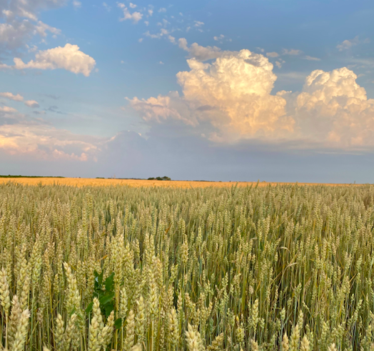 屏幕快照 2021-12-07 上午10.16.42.png