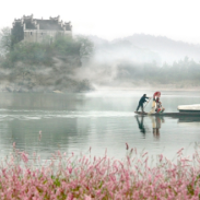 文论丨盘继培:评柳宗元《永州八记》的美学意蕴及其成因