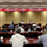郴州 | 召开2024年“扫黄打非”工作电视电话会议